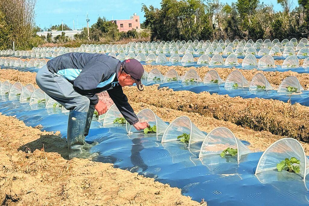 蒋万安喊话大陆：进口台湾农产业应建立制度，不能让台湾农民无辜受害台陆委会副主委