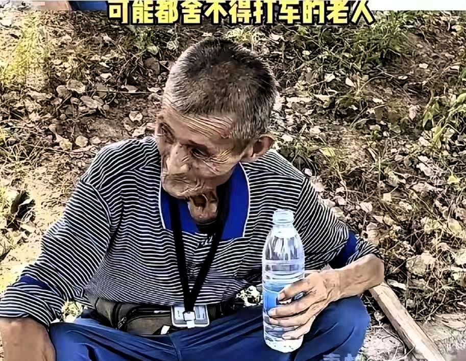 重庆40度那天，老人挑两筐辣椒躺进草坪里，不是中暑，是知道自己走回不去了。路