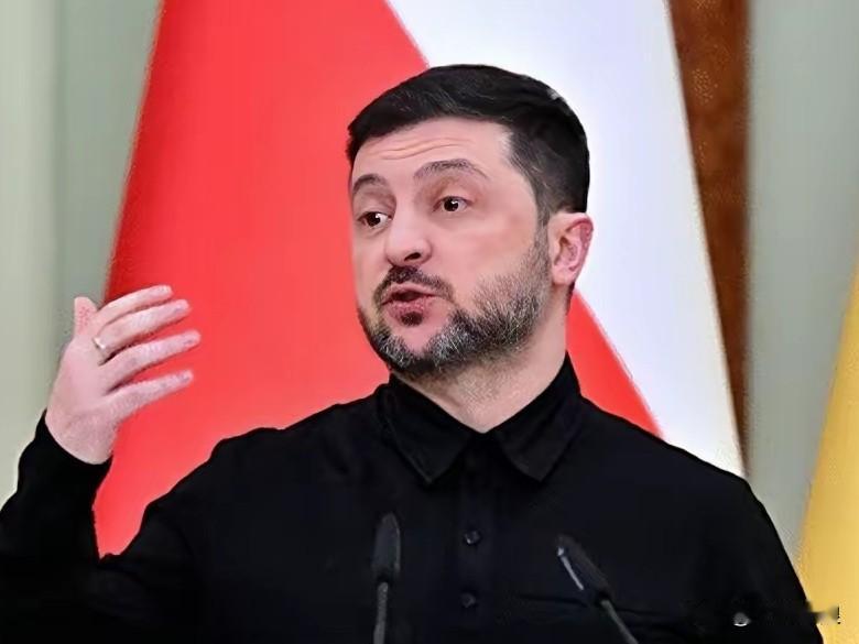 乌克兰总统泽连斯基列出结束俄乌冲突具体步骤！乌克兰总统泽连斯基2月15日表示