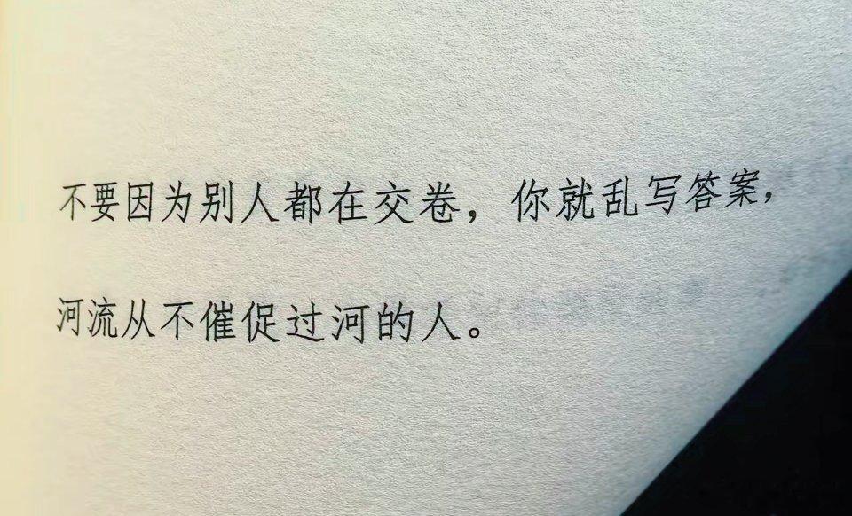 成年人的清醒，是从停止追问开始的，有些答案太薄，撑不起真相的重量。