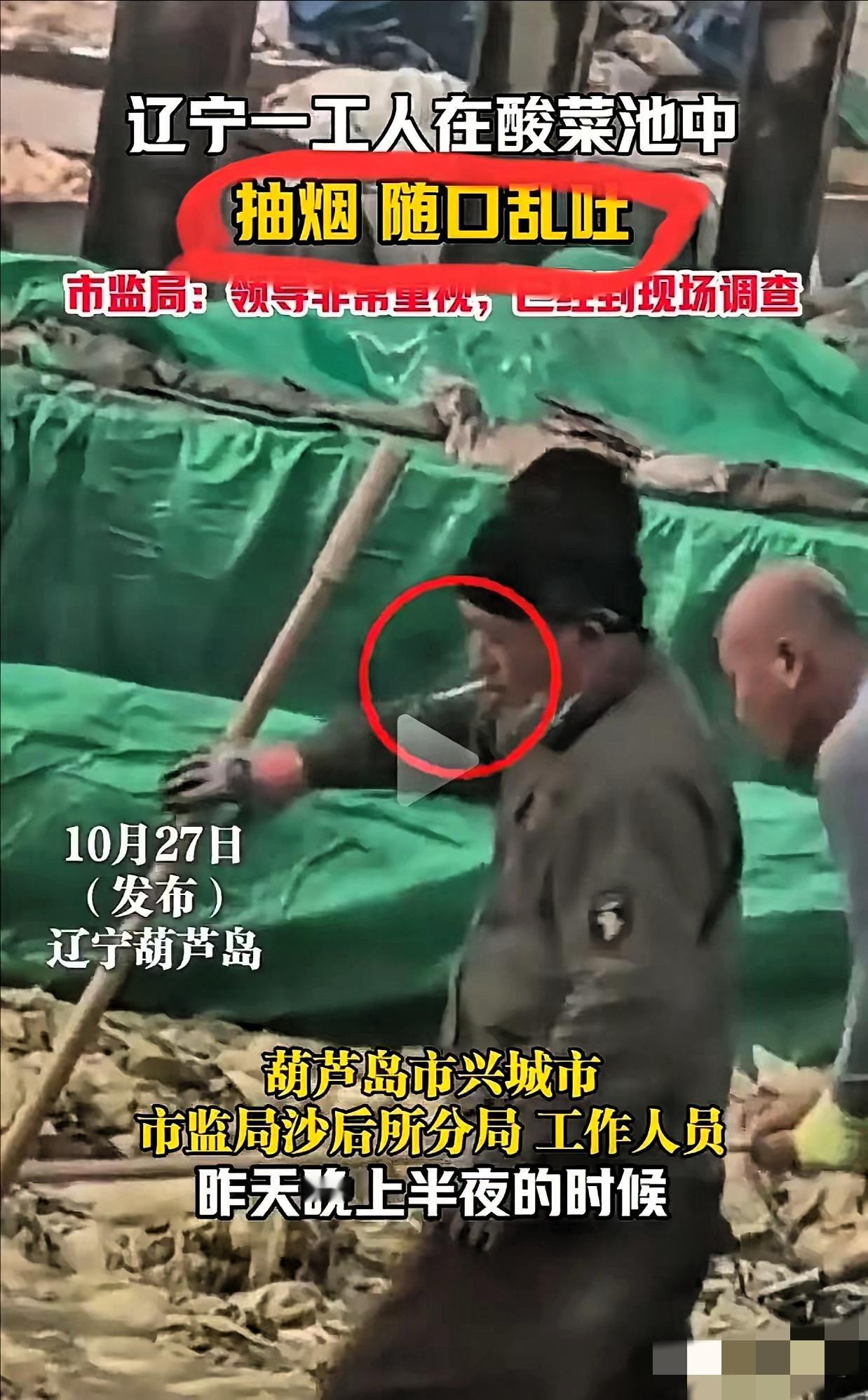 东北酸菜这是又要栽在“卫生”上了?315老坛酸菜的阴影还没散,葫芦岛又曝出酸