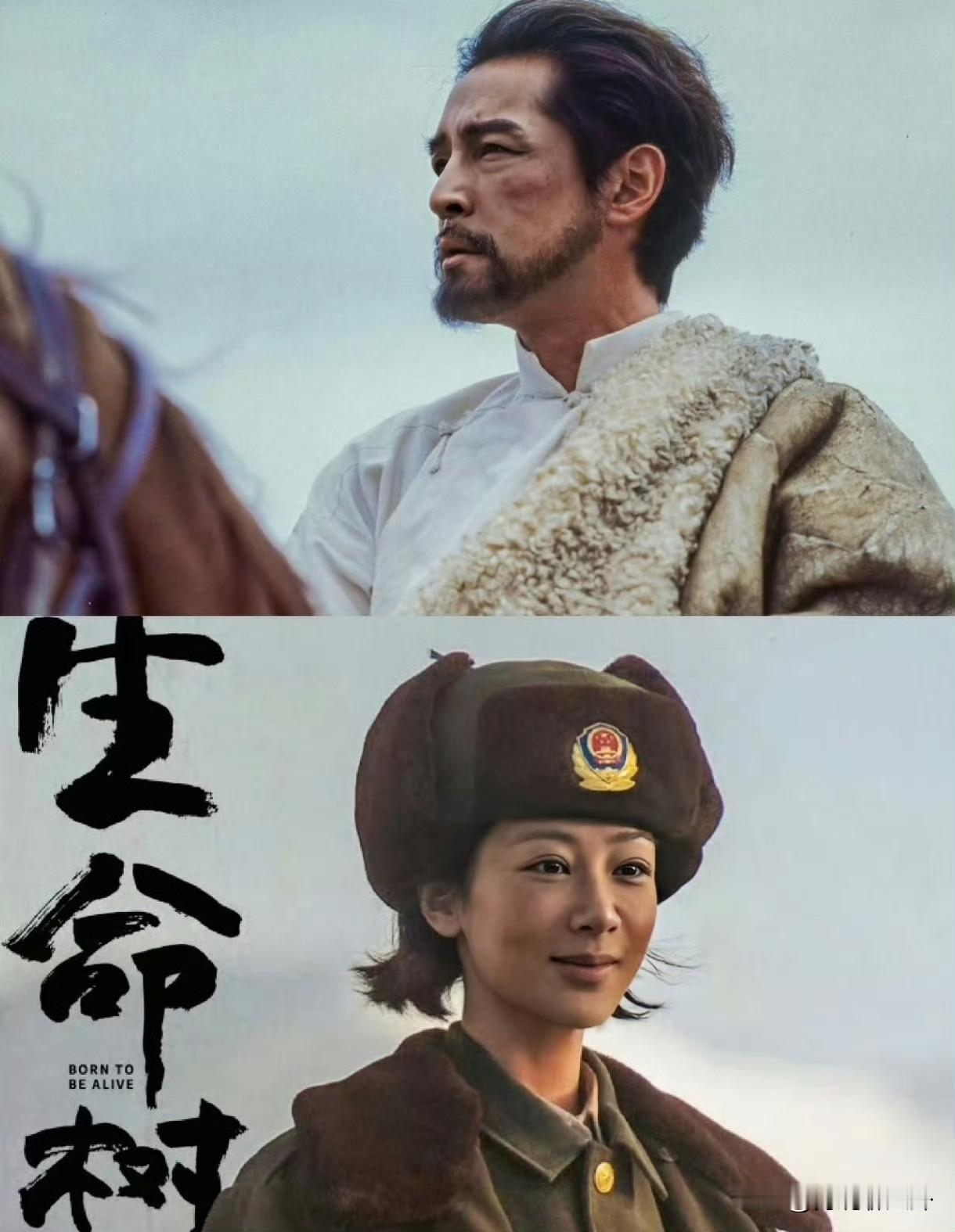 杨紫发布会神接梗！纠结胡歌称呼笑翻全场2026年1月27日《生命树》发布会