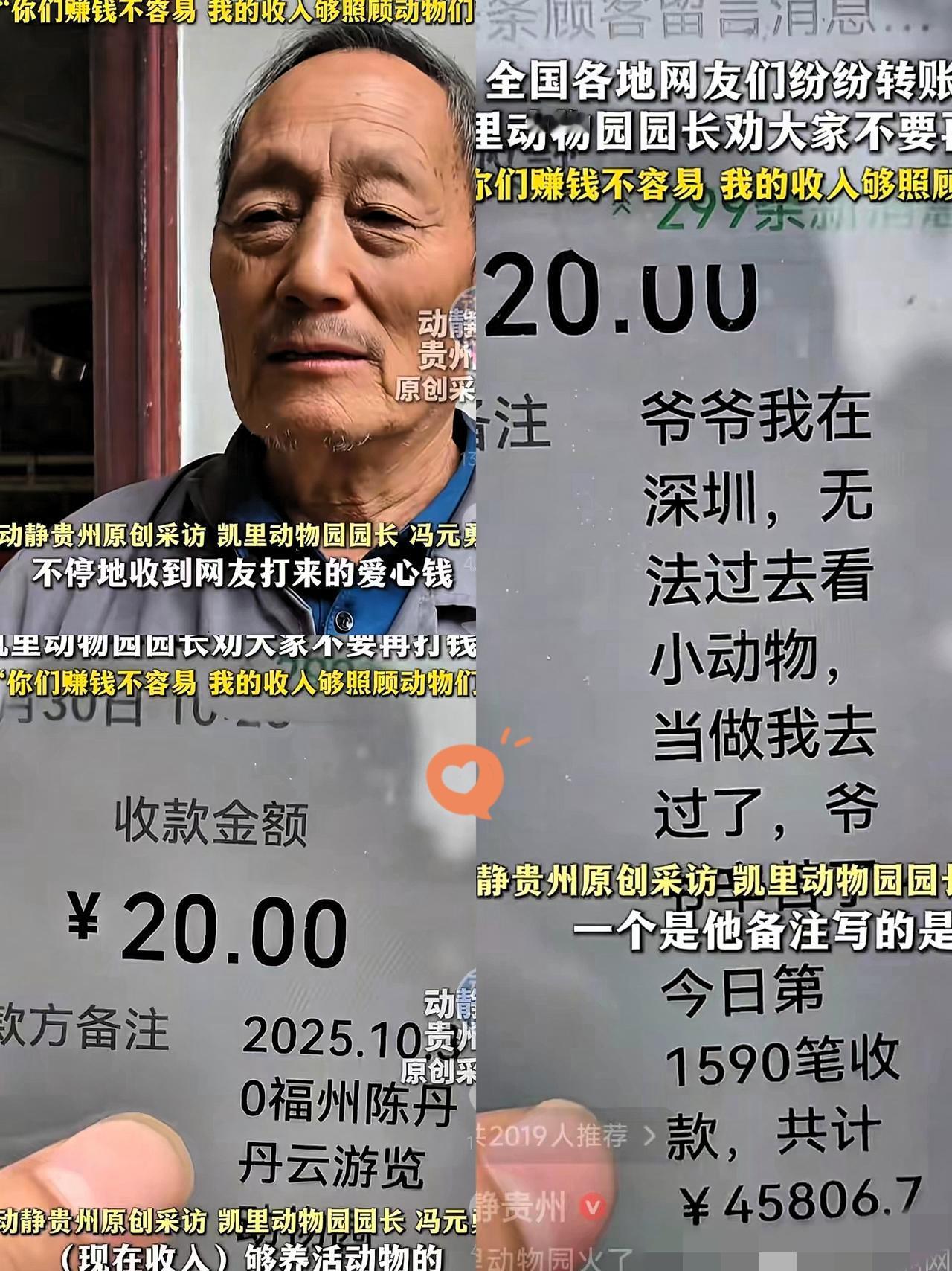 一个偏僻到地图都差点找不到的动物园,因为园长的“固执”火了——门票20元,十