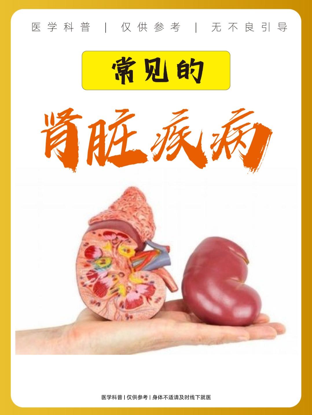 常见的肾脏疾病有哪些？？