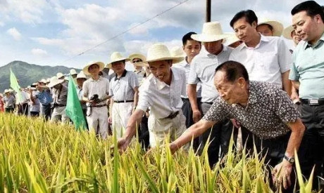 那年，鲁豫采访袁隆平：“您知道演员巩俐吗？”袁老摇了摇头，鲁豫又问：“那周杰伦您
