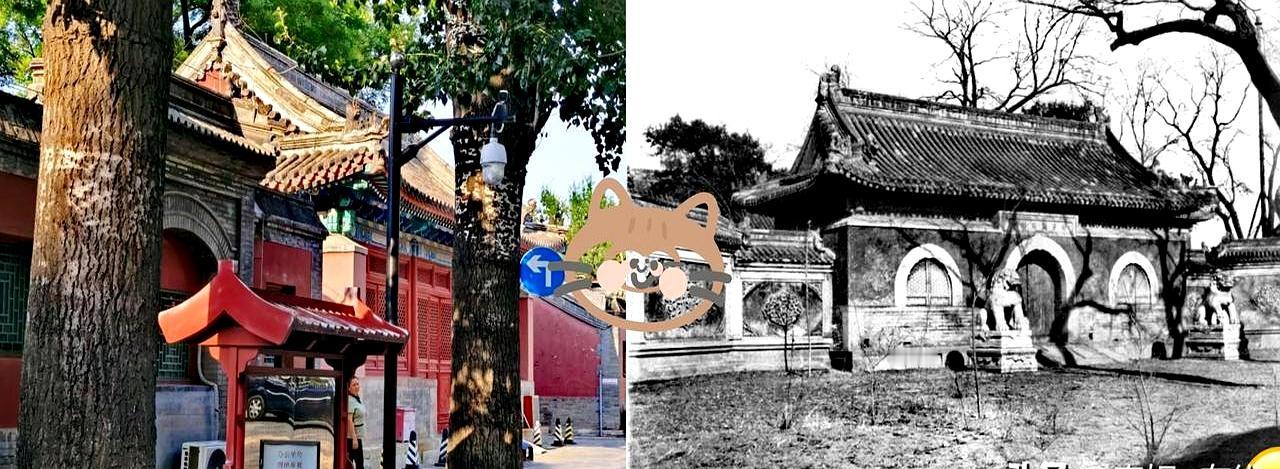 一句脱口而出的日语，直接撕碎了普陀山法雨寺里，几个日本和尚藏了好几年的假面。 