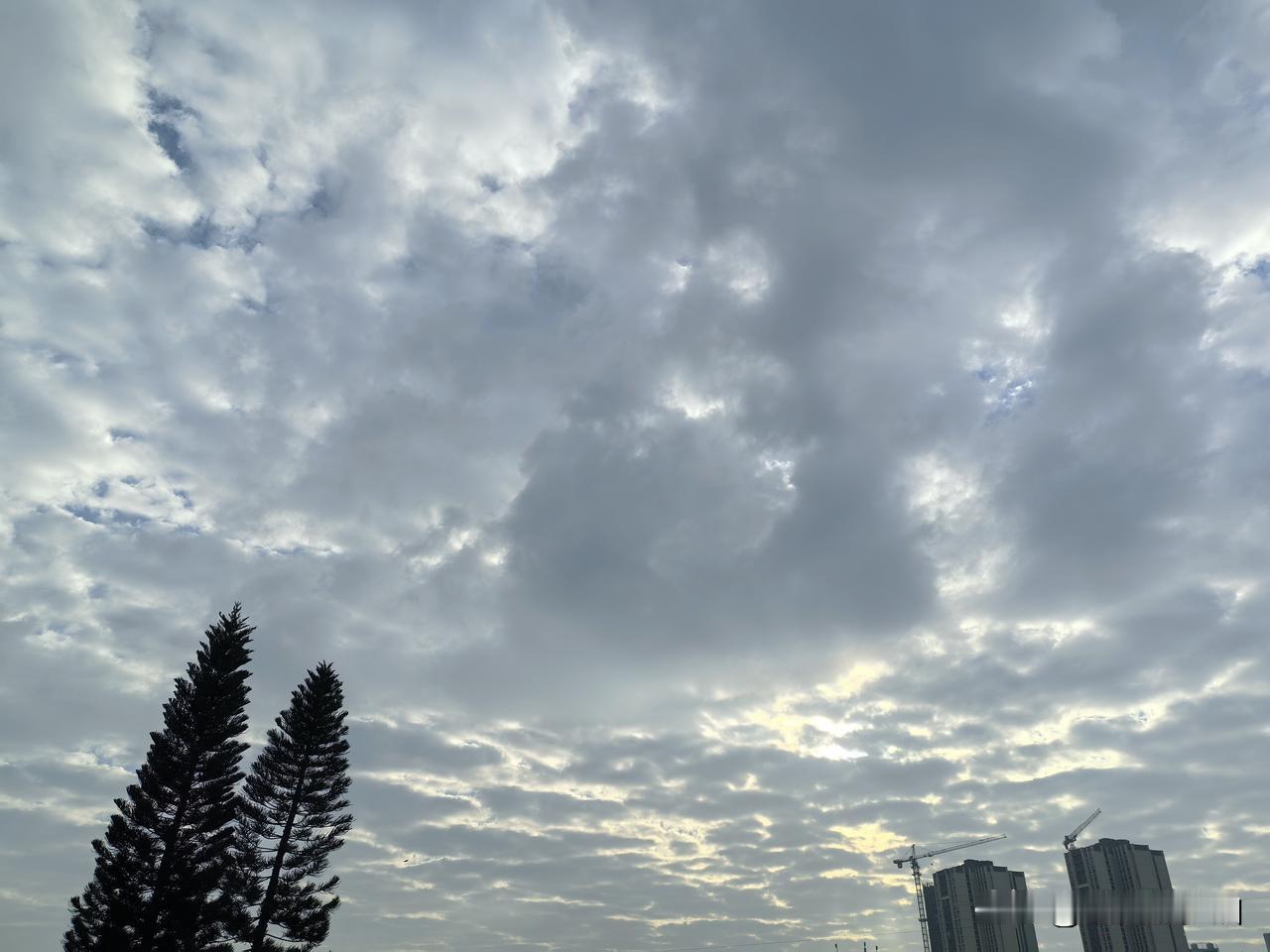 今日立春！标志着这一年的四季轮回重新始，气温渐暖，白昼变长，万物复苏，生机勃勃。