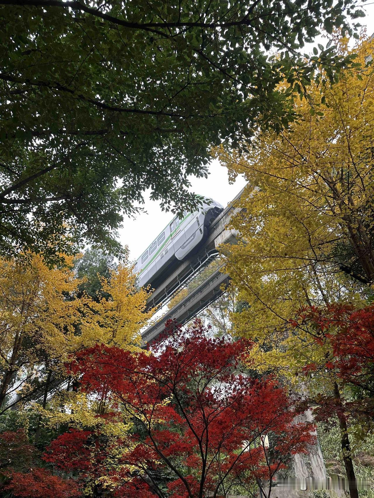 今天，重庆的冬天没有光，我真的是要哭死！12月6日，星期六，一大早，重庆还是有昏