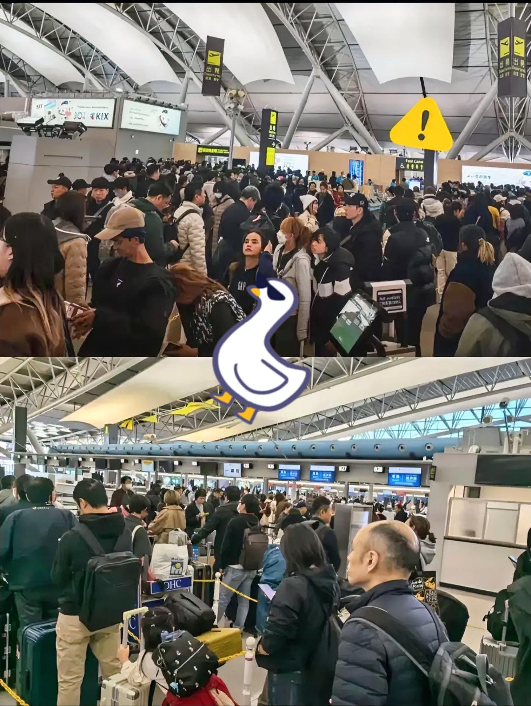 傻眼了吧，赴日旅游这就是不听劝的后果，去的潇洒，想回来可不容易了。航班取消买不到