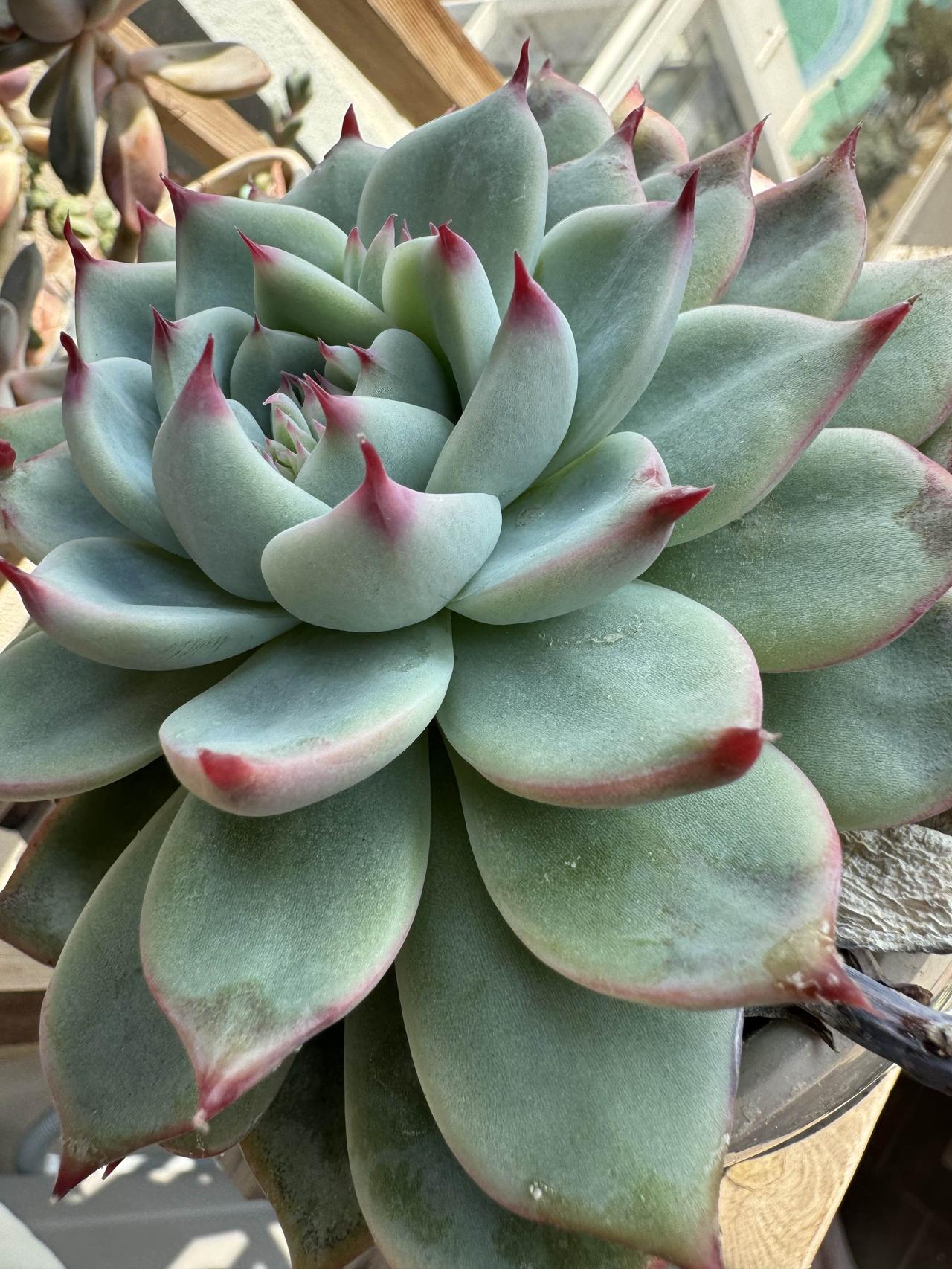 下周A股市场点评（2026.1.27-2.2）核心判断：下周A股大概率延续震