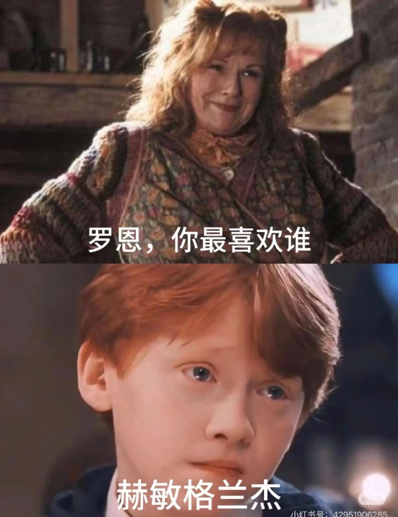 哈利波特梗图（6）哈利波特哈迷无刀放心食用梗图斯莱特林此图有梗