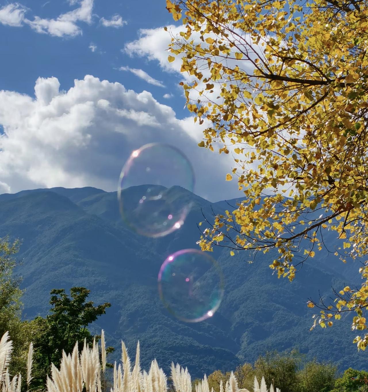 命在等，钱在算，这是多少普通人老百姓病床前最真实的挣扎。最近武汉街头，一位56