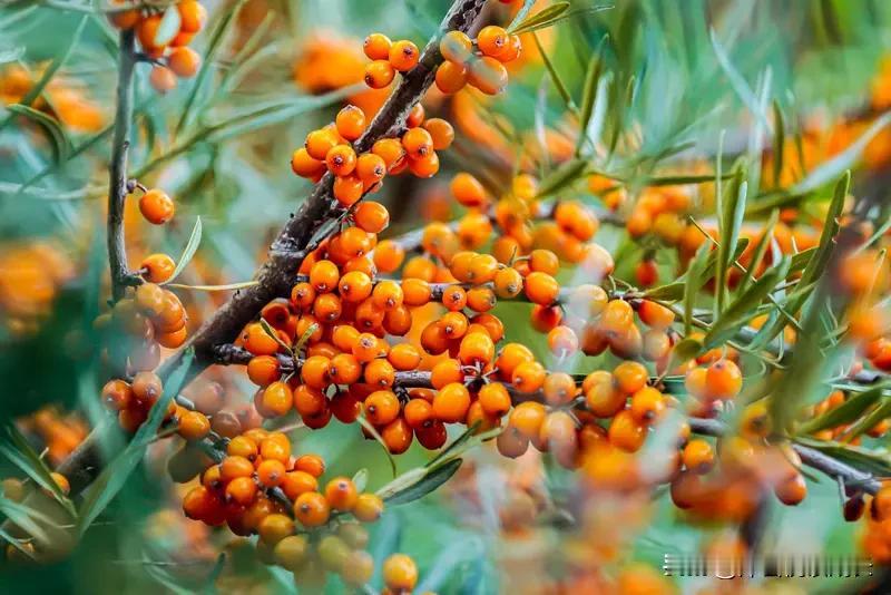 人活世上图什么？我觉得一是好好活着二是痛快活着身体需温饱这是活着基础