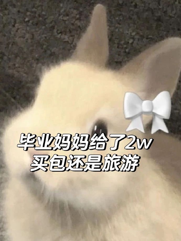 妈妈给了2w买包还是旅行纠结啊啊啊啊啊