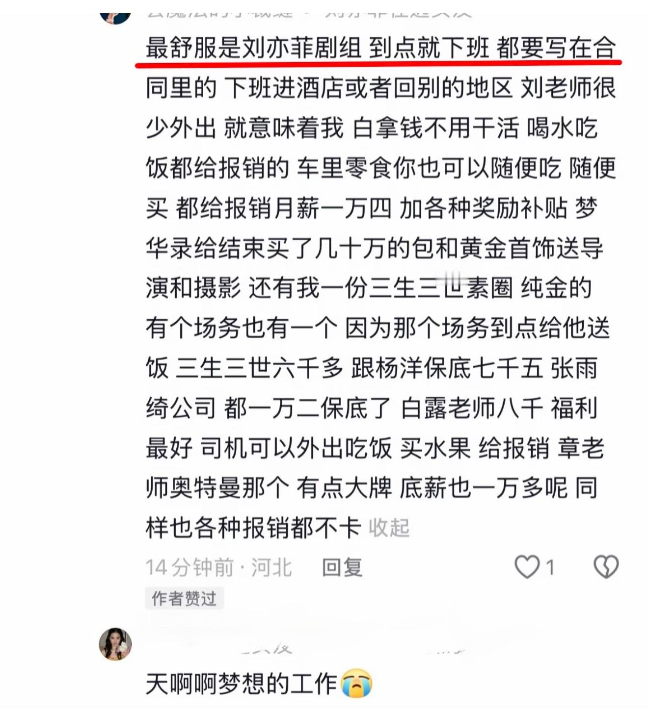 各大明星待遇🍉，刘亦菲这个变相相当于外企干活了。