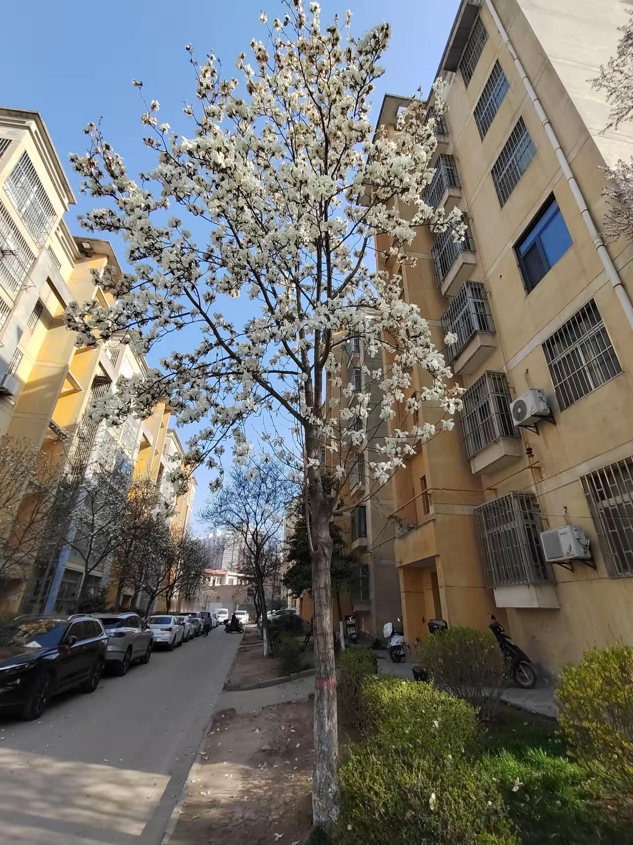 我发现，我妈老了，性格都变了！今天我给我妈打电话说，过几天我就回老家看望她了