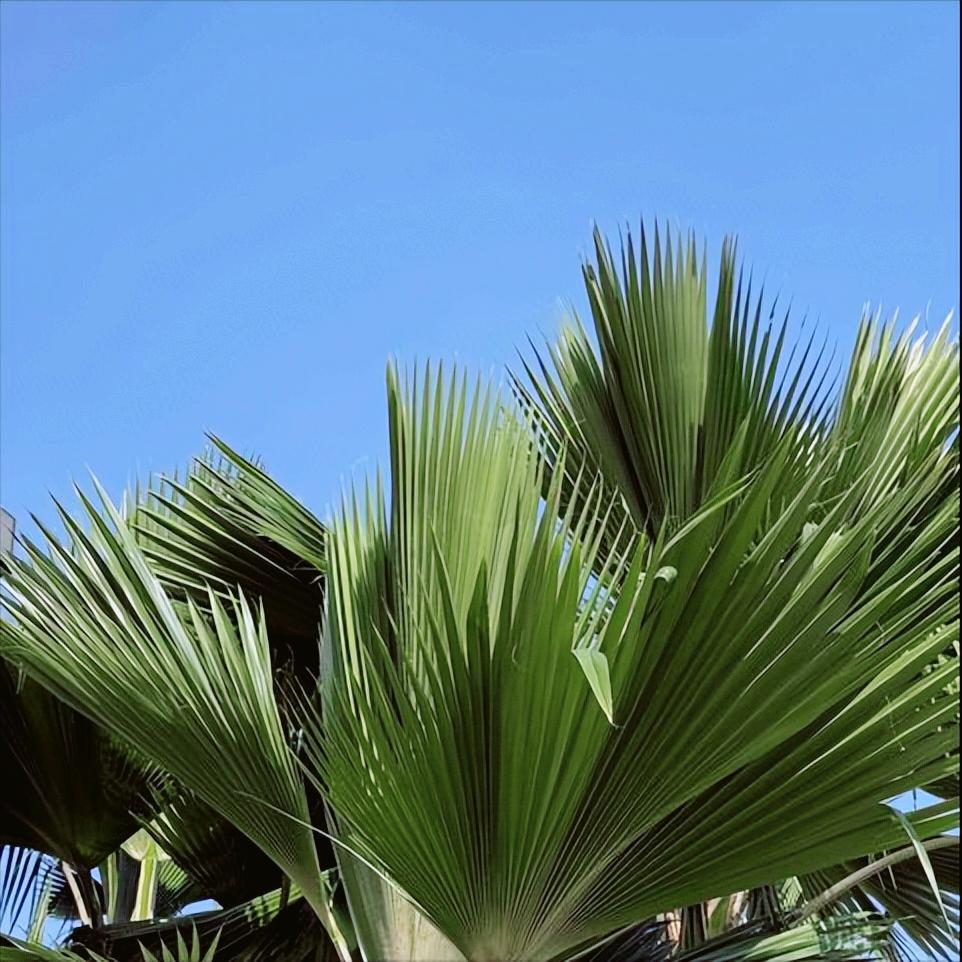 2025年，已执纪审查5个副省级城市6人，分别是：南京（4月3日）、西安（7月1