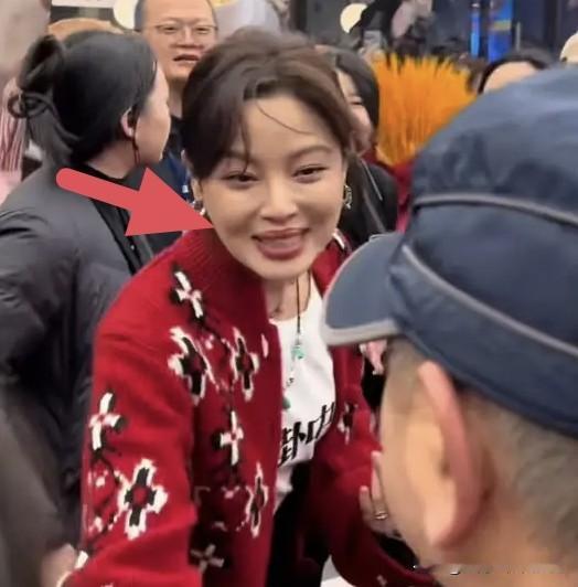 万万没想到，辛芷蕾原来是从鹤岗出来的。鹤岗一直以来给我的印象是:东北一个鸟