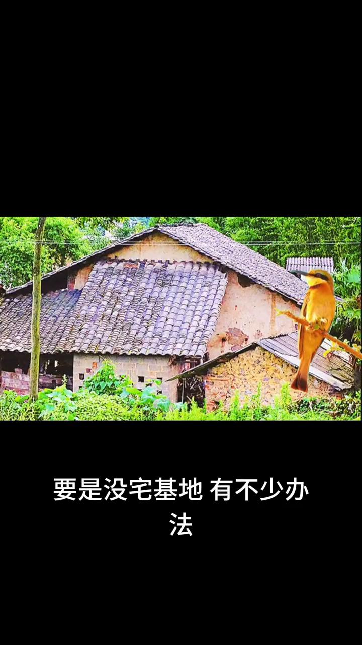 在农村没宅基地别慌，二零二三年中央一号文件强调保障农民住房权益。要是没宅基地有不