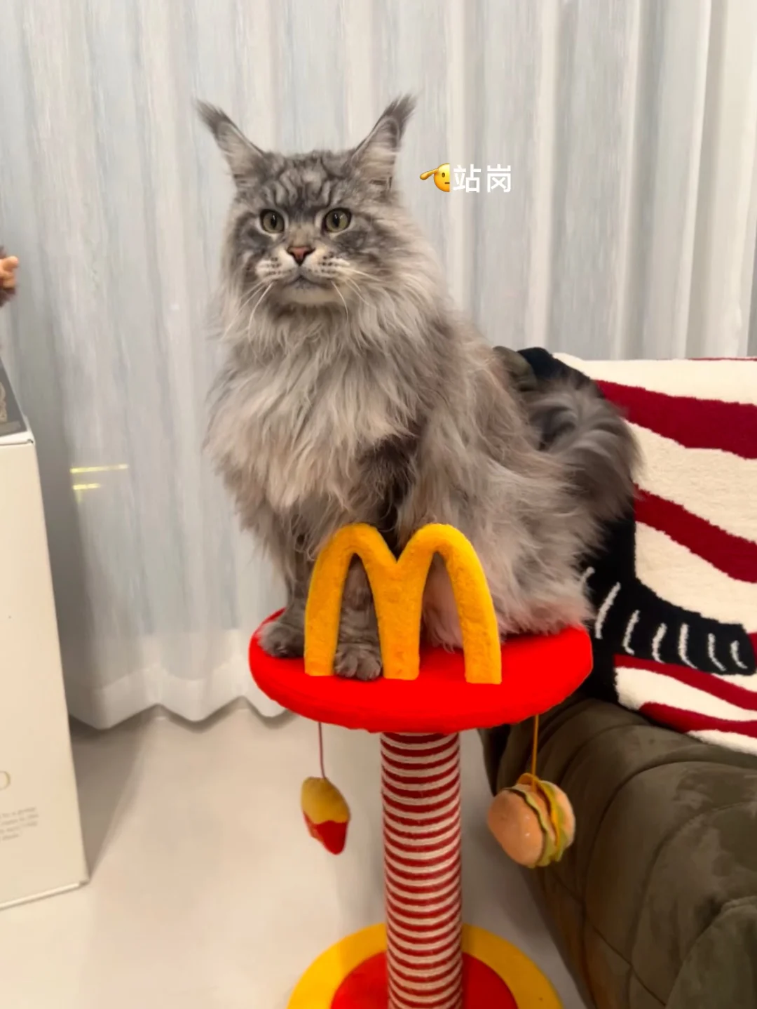 客厅没买边几，换个思路！