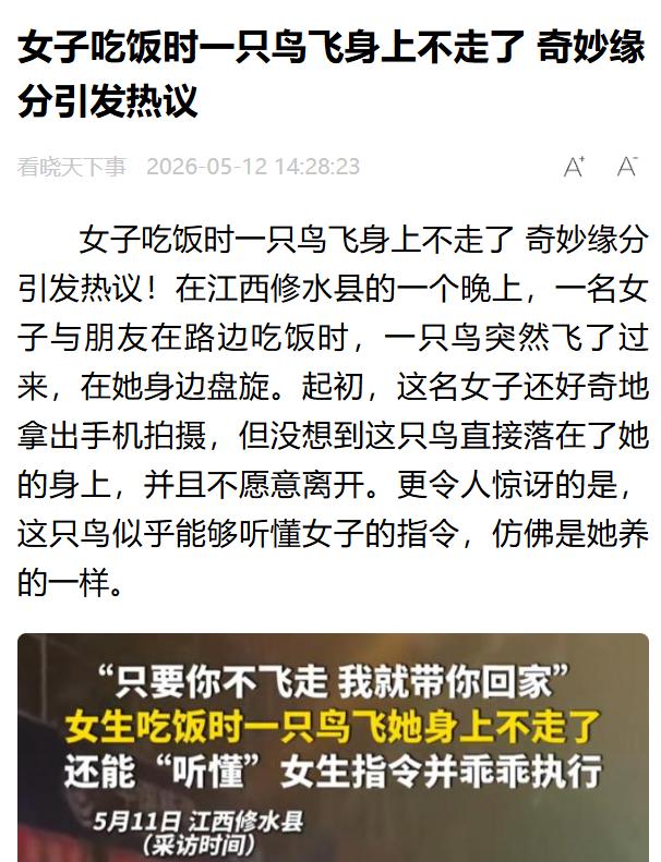 万万没想到！中华网5月12日报道。江西修水女子和朋友外出吃饭，一只小鸟突然飞落餐