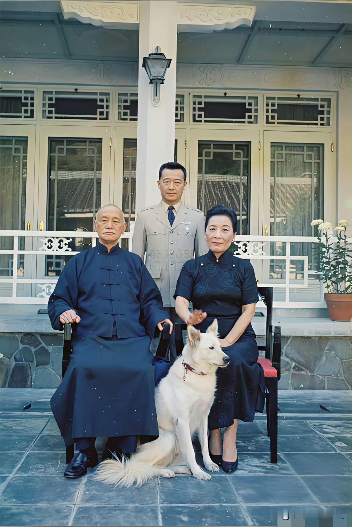 问一下，这只狗狗当年得值多少钱？[捂脸哭]