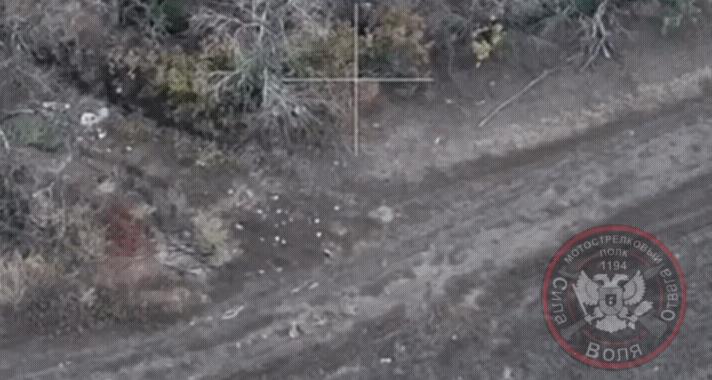 太可惜了!佩服这名乌军的勇气,但是他的运气实在太差了,聪明反被聪明误了!在康斯坦