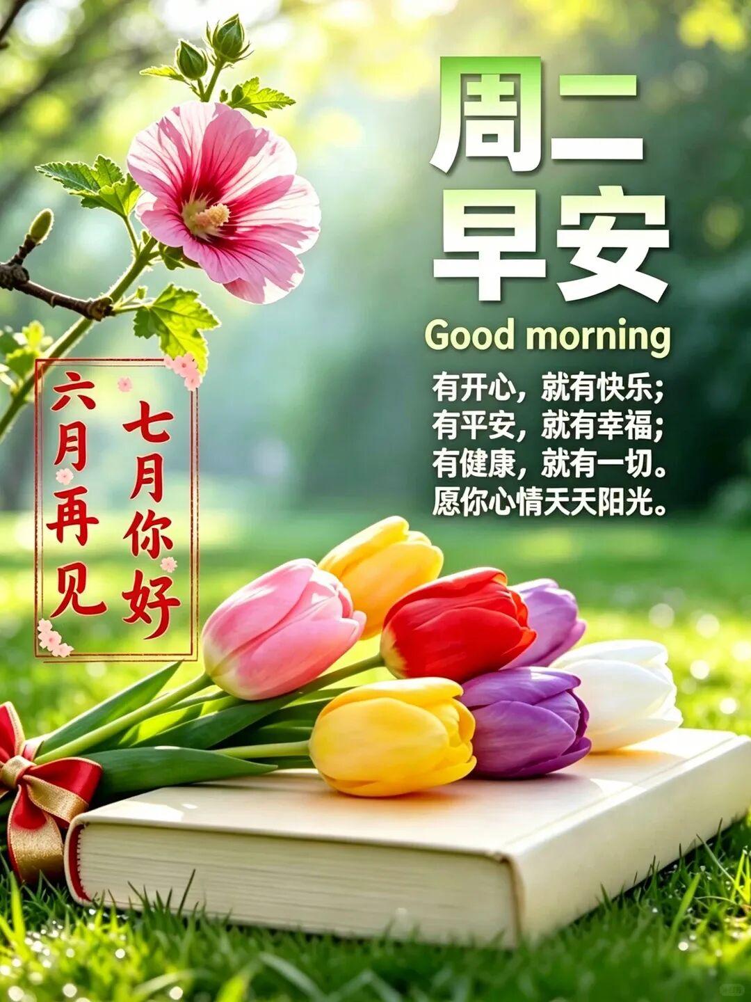 早上好！✨一份真心，存放心底🍀；一条微信，满是惦记；一句早安，诚意满满；一份祝