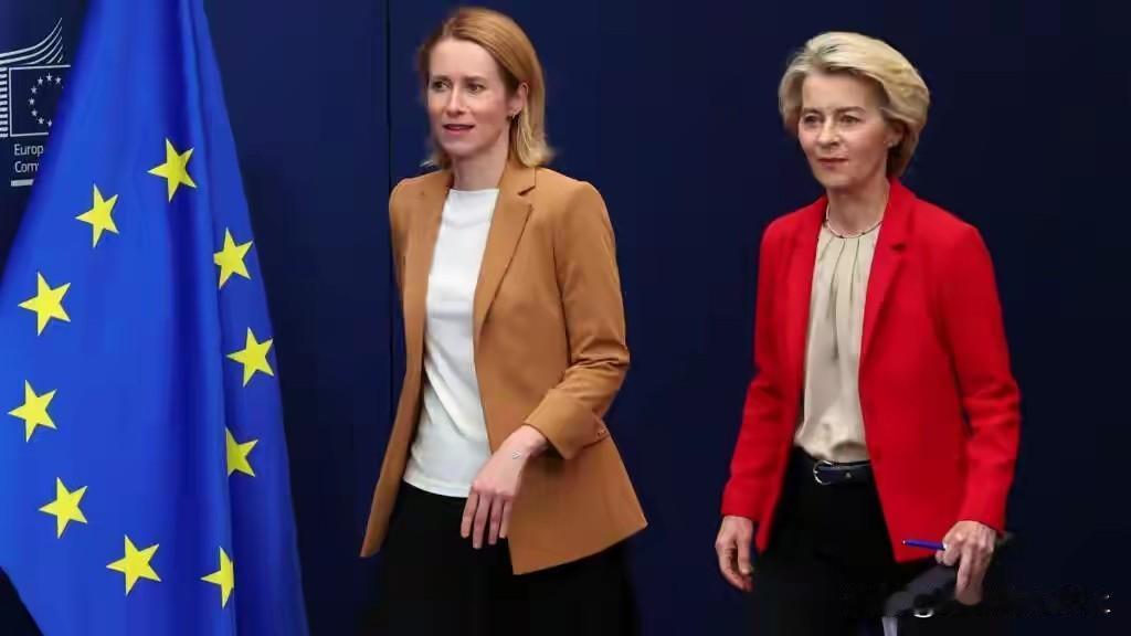 一山不容二虎，还是母老虎！两个女人一台戏，欧盟内部的冯德莱恩与卡拉斯的一番角