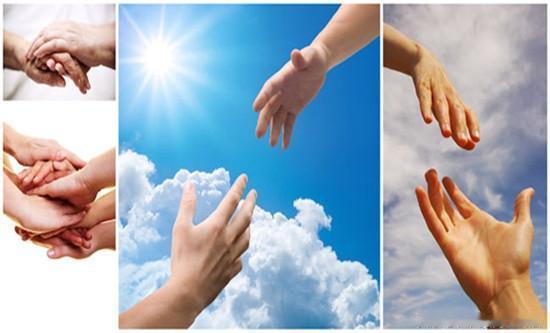 儿子刚送完菜回到家拿起馒头突然栽倒在地再也没有醒过来几十亩菜地，上万斤蔬菜