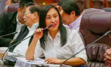 菲律宾奎松市政府已采取行动，阻止公共工程与公路部计划在马里布洛溪建造泵站的计划，
