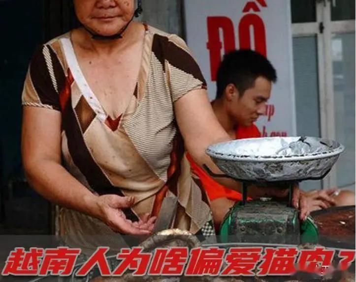 “越南人一年竟吃掉400万只。”越南人爱吃猫，导致当地鼠患、黑死病横行，当局颁布