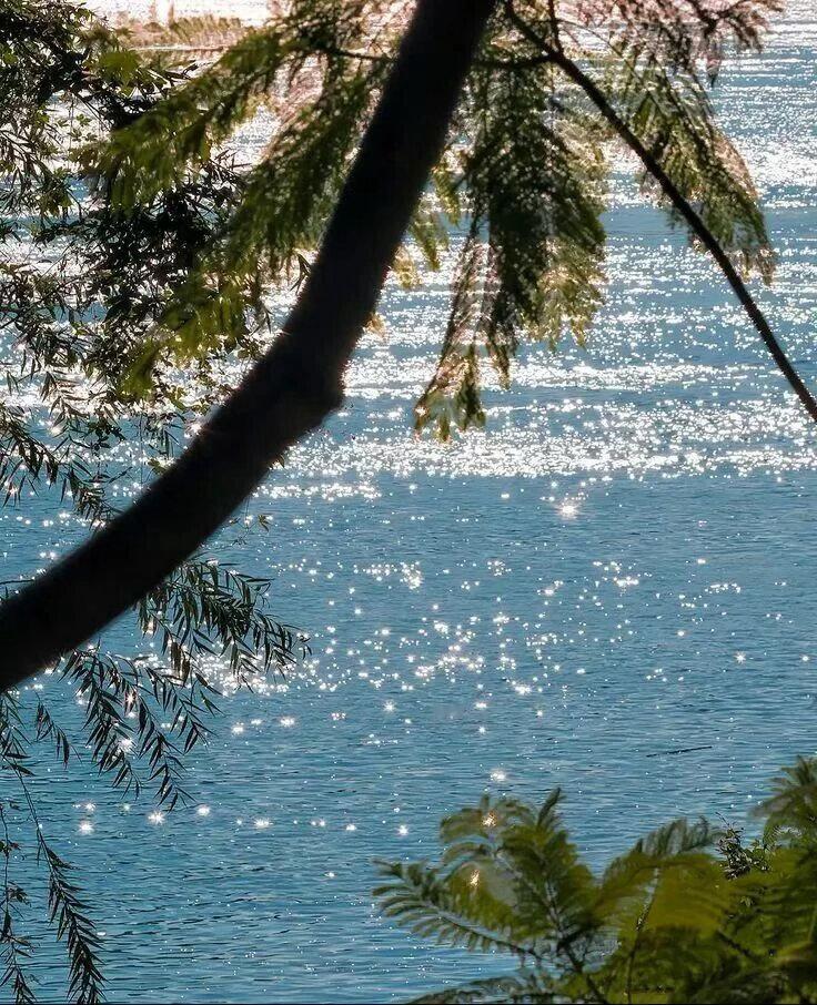🌊夏日海边。🏝️盛夏壁纸大放送动漫仲夏狂欢季