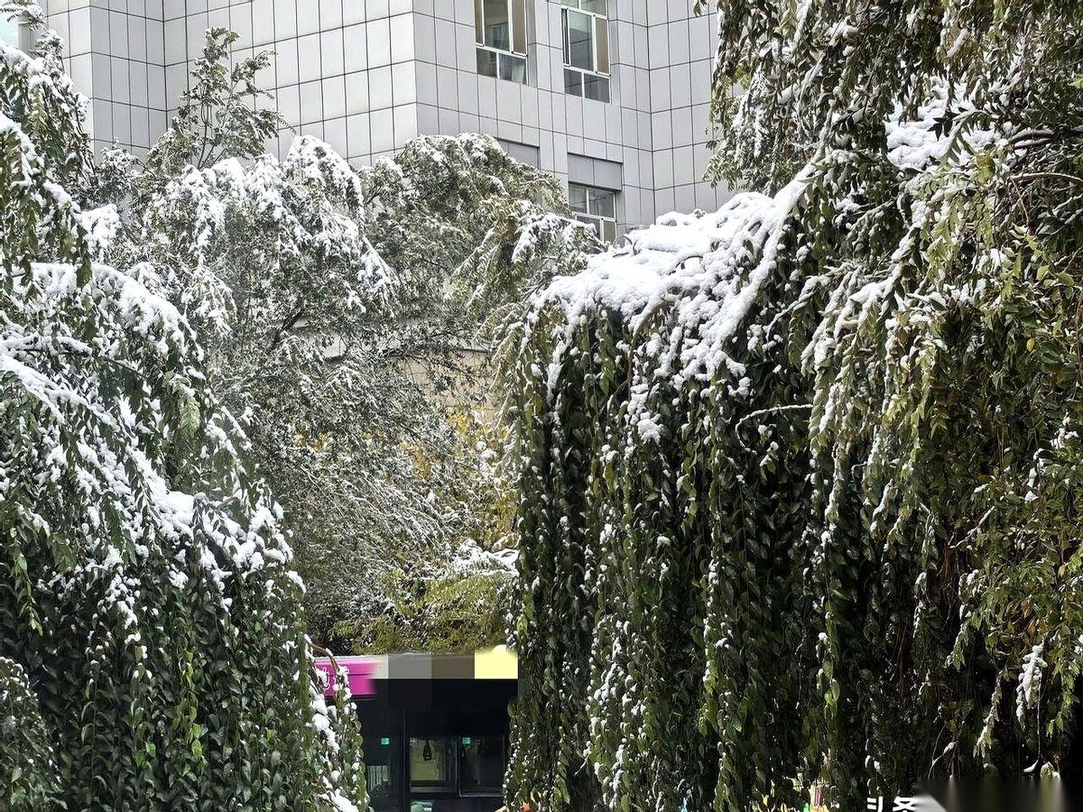 我跟你说，新疆那个“雪假”，很多人第一反应是，凭啥？就乌鲁木齐和阿勒泰是亲生的？