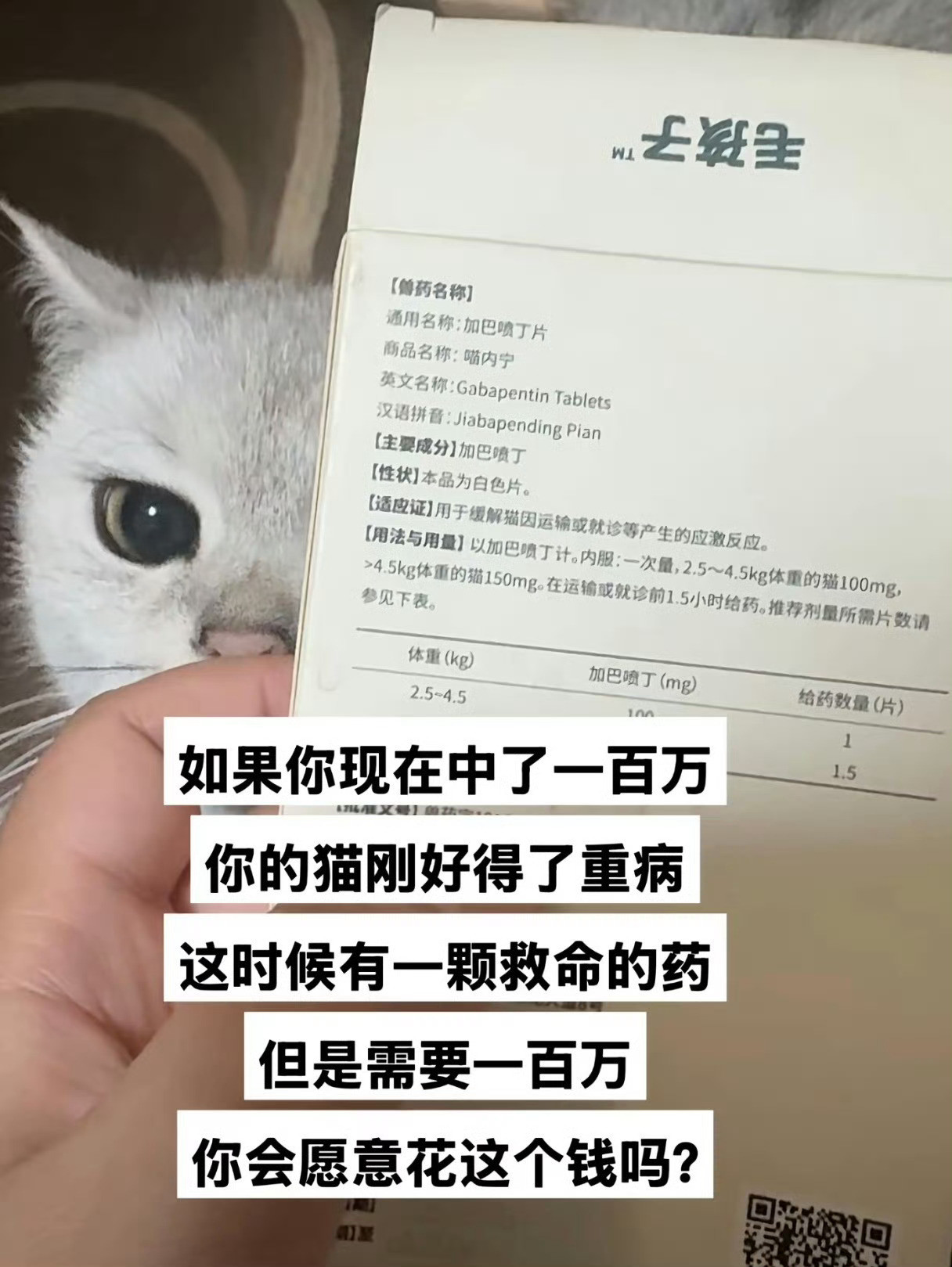 养猫人会怎么选呢​​​