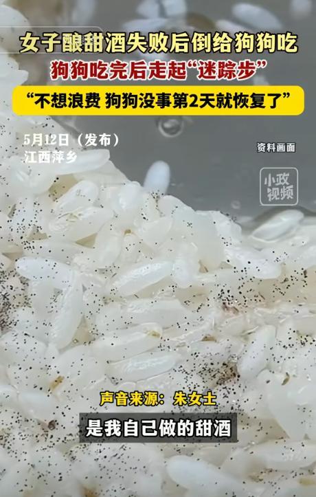 笑不活了！4月16日，江西萍乡，一名朱女士酿酒失败，倒掉又觉得可惜，她灵机一动给