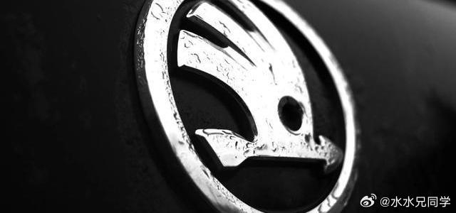 今年年中，斯柯达正式退出中国市场。我刚买蔚来的时候，不少人问我，蔚来垮了怎么办？