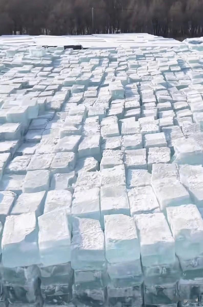 45岁女子感觉又气又羞，因为她从监控里看到老家82岁老父亲在家PC。女子母亲走了