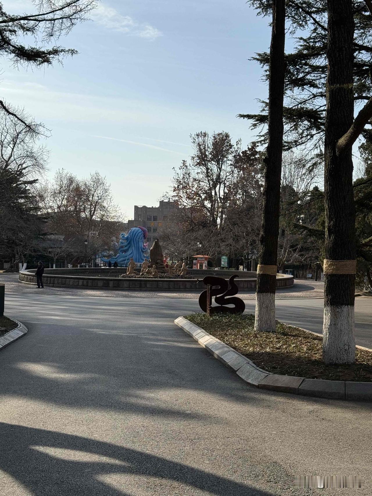 星光随笔我昨天上午去了青岛中山公园打卡了，昨天青岛市气温最低零下二度，公园里的人