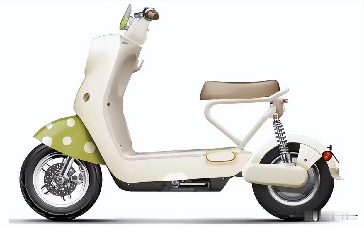 笑喷了！新国标电动车面世！带不了娃，装不了篮子，充电器背身上？商家吐槽：“卖