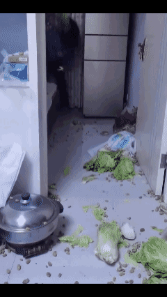 为什么还不离婚？看完这段视频，真的替这个男人心酸。老母亲千