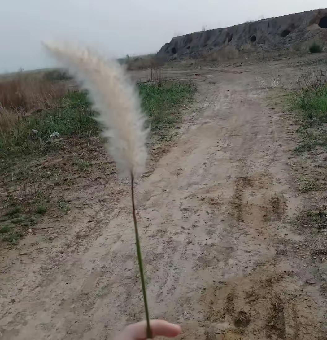 以后人走了，可能连个坟头都找不到了2026年3月30号开始，骨灰必须深埋，不留