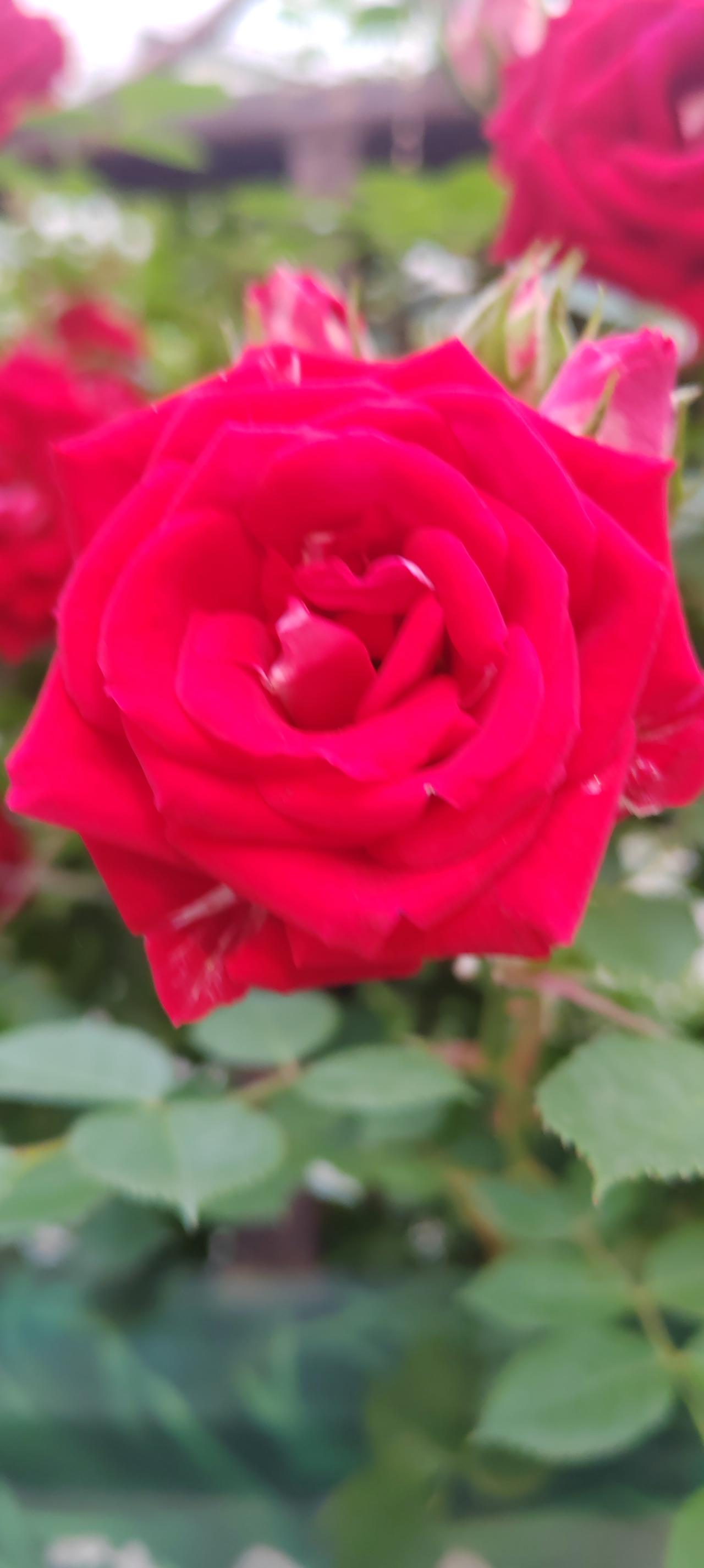 初中生的家长优秀的父母要做：1.宽容而温暖地包容孩子。用宽容的心原谅孩子，用温暖