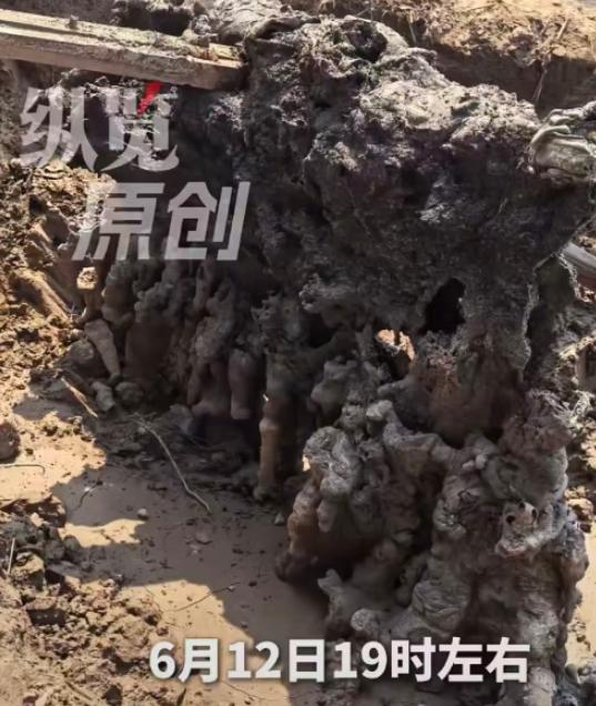 "太邪乎了！"河北6月12日傍晚骤降的强雷雨停歇后，一位村民赫然发现自家麦田中莫