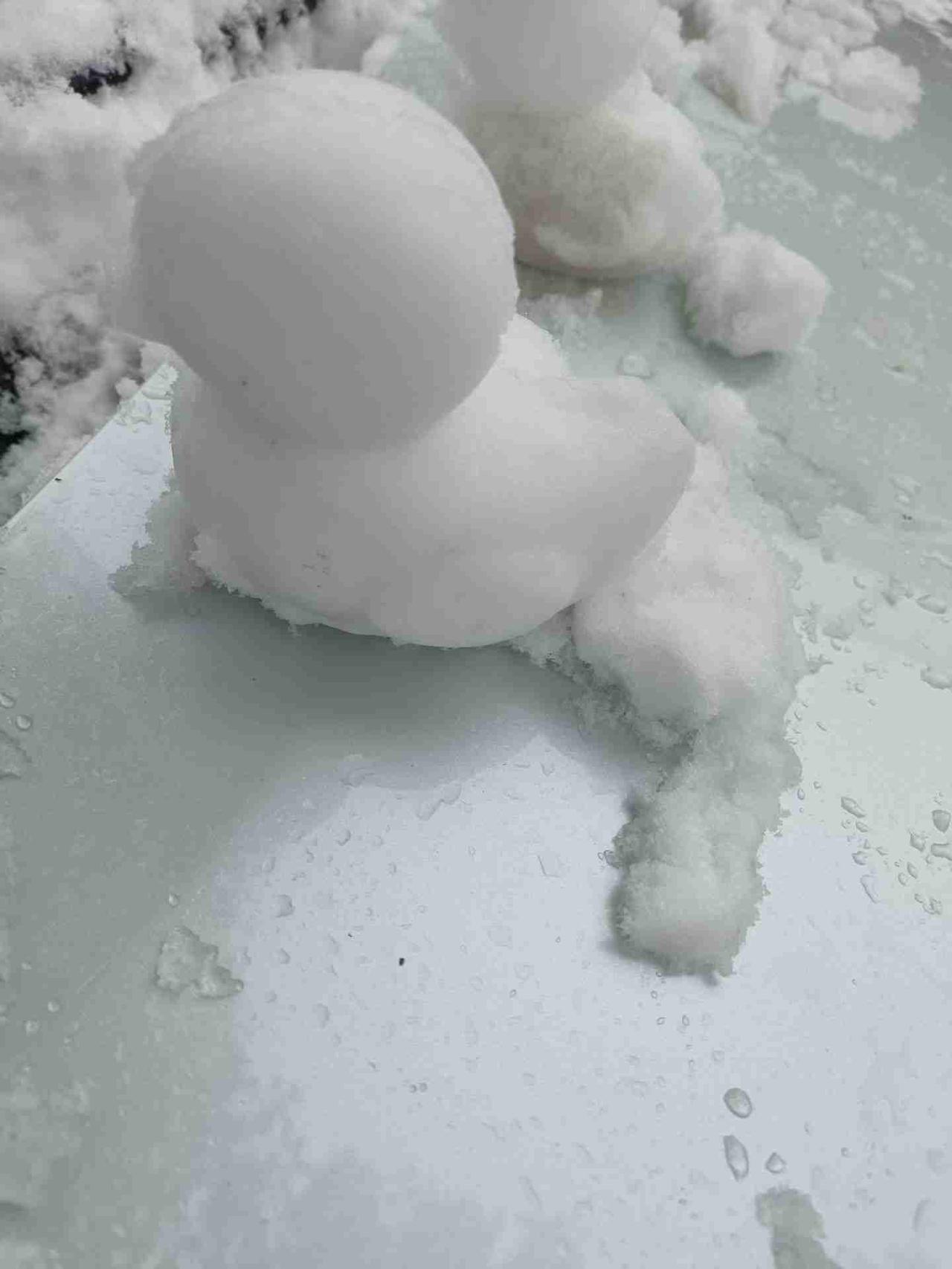 2026第二天，晚起床，简单吃早餐，楼顶玩雪，做美食，吃丰盛午餐，吃饱了继续休息