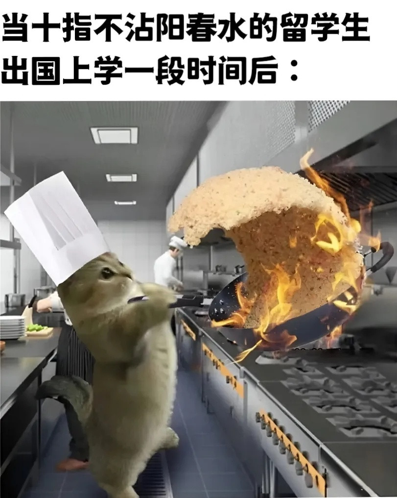 变大厨meme​​​