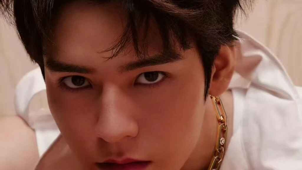 王祖贤要复出? 杨幂新剧男主、钻石姐被封了? 魏大勋新剧空降、熟瓜汇总