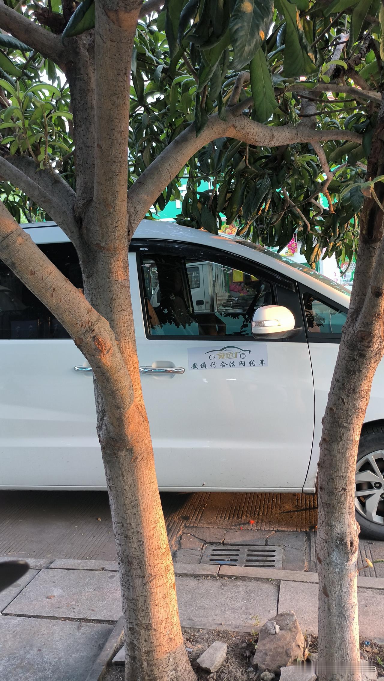 网约车还有不合法的吗？