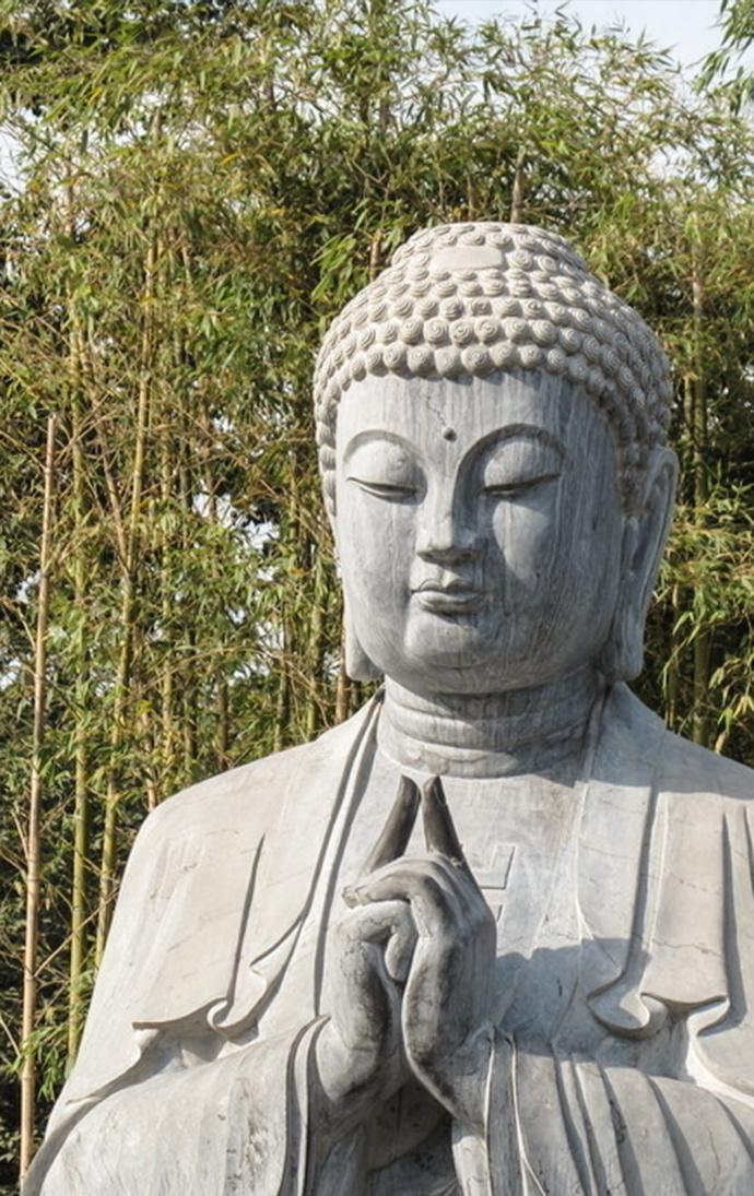 一切都需要时间等待，而我们只需要松弛自己，顺其自然地乐观生活。