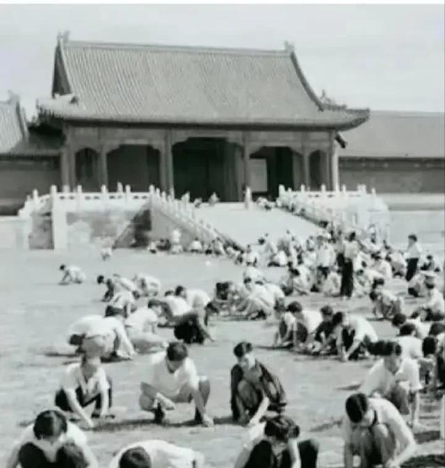 1949年，国家组织了7万人在北京故宫里清理垃圾，历时9个月清理出清末以来近40